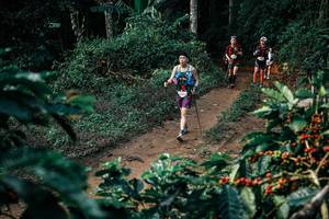 BIB: 
                            <button type="button" onclick="openModal(25842292)" class="btn btn-primary btn-sm float-right btn-popup" data-toggle="modal" data-target=".modal-high-quality">
                        <i class="fas fa-shopping-cart"></i> Add to Cart
                    </button>
                                            <button type="button" onclick="isThisMe(25842292, true)" class="btn btn-success btn-sm float-right btn-popup btn-isme hidden" data-toggle="tooltip" data-placement="bottom" title="นี่คือรูปของคุณใช่ไหม คลิกที่นี่เพื่อเอาเข้าอัลบั้ม">
                        <i class="fas fa-plus"></i> Add to album
                    </button>
                    <button type="button" onclick="isThisMe(25842292, false)" class="btn btn-warning btn-sm float-right btn-popup btn-isnotme hidden">
                        <i class="fas fa-ban"></i> Remove from album
                    </button>